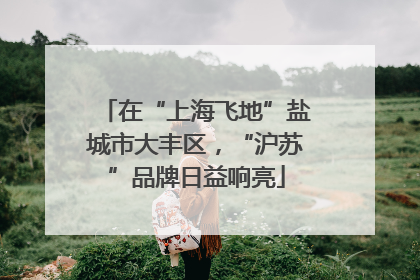 在“上海飞地”盐城市大丰区，“沪苏”品牌日益响亮