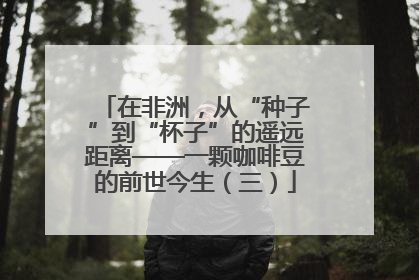 在非洲，从“种子”到“杯子”的遥远距离——一颗咖啡豆的前世今生（三）