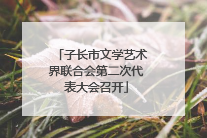 子长市文学艺术界联合会第二次代表大会召开