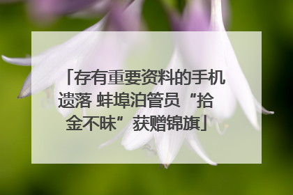 存有重要资料的手机遗落 蚌埠泊管员“拾金不昧”获赠锦旗