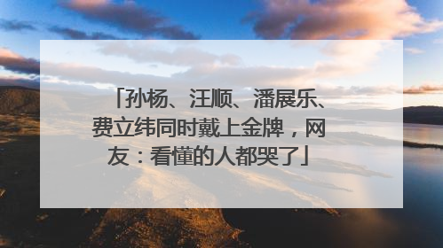 孙杨、汪顺、潘展乐、费立纬同时戴上金牌，网友：看懂的人都哭了