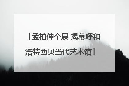 孟柏伸个展 揭幕呼和浩特西贝当代艺术馆
