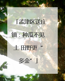 孟津区送庄镇：种瓜不见土 田野更“多金”