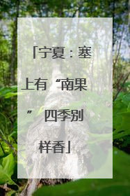 宁夏：塞上有“南果” 四季别样香