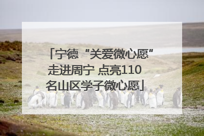 宁德“关爱微心愿”走进周宁 点亮110名山区学子微心愿