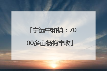 宁远中和镇：7000多亩杨梅丰收