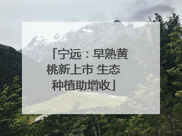 宁远：早熟黄桃新上市 生态种植助增收