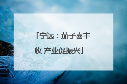 宁远：茄子喜丰收 产业促振兴