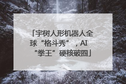 宇树人形机器人全球“格斗秀”，AI“拳王”硬核破圈