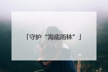 守护“海底雨林”