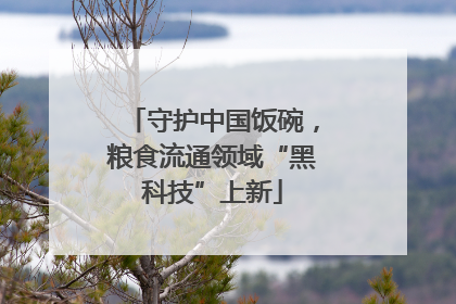 守护中国饭碗，粮食流通领域“黑科技”上新