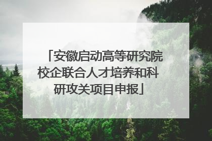 安徽启动高等研究院校企联合人才培养和科研攻关项目申报