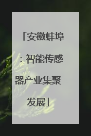 安徽蚌埠：智能传感器产业集聚发展