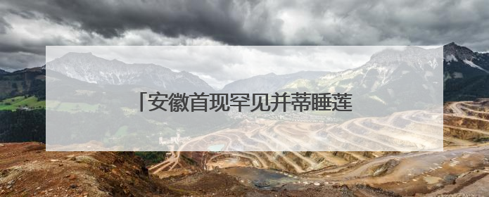 安徽首现罕见并蒂睡莲 概率仅为百万分之一