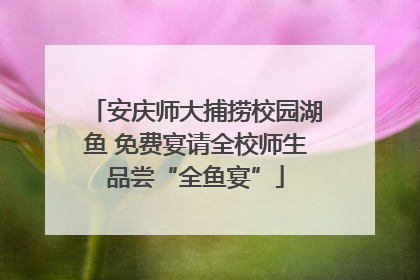 安庆师大捕捞校园湖鱼 免费宴请全校师生品尝“全鱼宴”