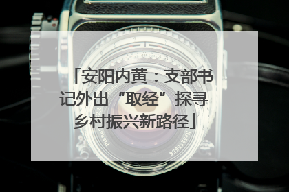 安阳内黄：支部书记外出“取经”探寻乡村振兴新路径