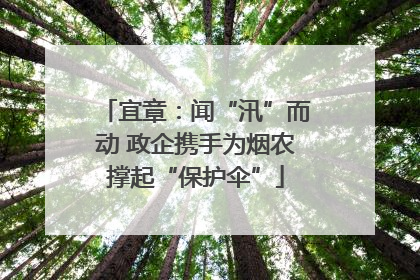宜章：闻“汛”而动 政企携手为烟农撑起“保护伞”