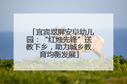 宜宾翠屏安阜幼儿园：“红烛先锋”送教下乡，助力城乡教育均衡发展