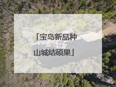 宝岛新品种 山城结硕果