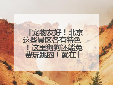 宠物友好！北京这些景区各有特色！这里狗狗还能免费玩跳圈！就在