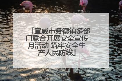 宣威市务德镇多部门联合开展安全宣传月活动 筑牢安全生产人民防线