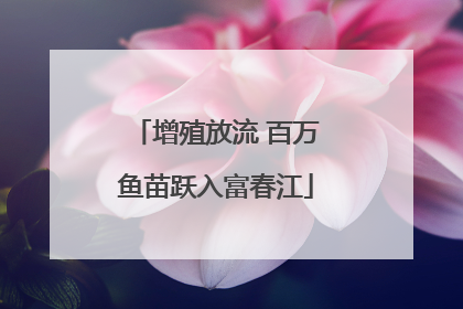 增殖放流 百万鱼苗跃入富春江