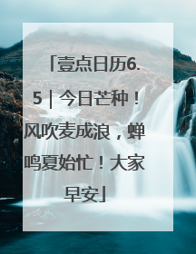 壹点日历6.5｜今日芒种！风吹麦成浪，蝉鸣夏始忙！大家早安
