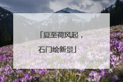 夏至荷风起，石门绘新景