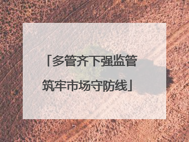 多管齐下强监管 筑牢市场守防线