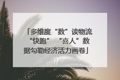 多维度“数”读物流“快跑” “喜人”数据勾勒经济活力画卷