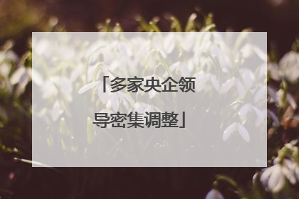 多家央企领导密集调整