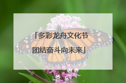 多彩龙舟文化节 团结奋斗向未来