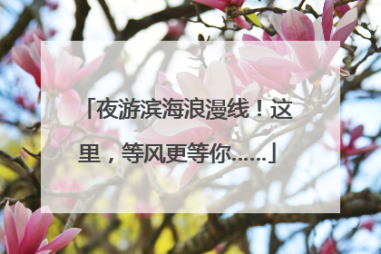 夜游滨海浪漫线！这里，等风更等你……
