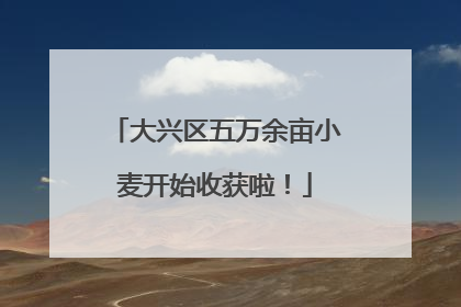 大兴区五万余亩小麦开始收获啦！