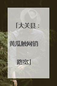 大关县：黄瓜触网销路宽