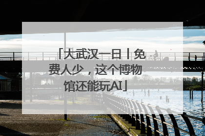 大武汉一日丨免费人少，这个博物馆还能玩AI