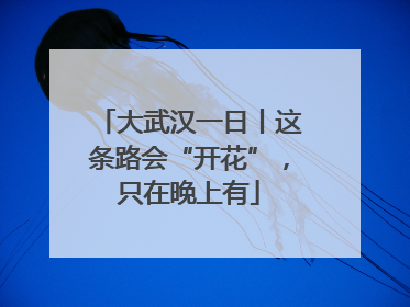 大武汉一日丨这条路会“开花”，只在晚上有