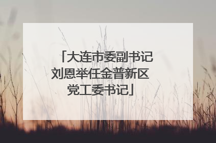 大连市委副书记刘恩举任金普新区党工委书记