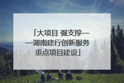 大项目 强支撑——湖南建行创新服务重点项目建设