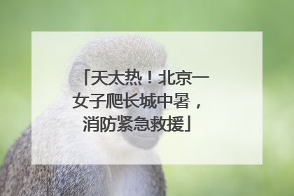 天太热！北京一女子爬长城中暑，消防紧急救援