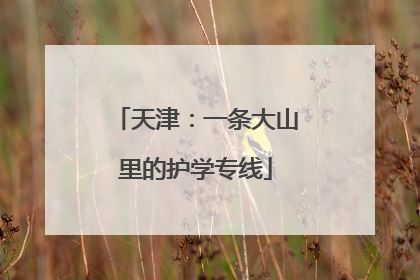 天津：一条大山里的护学专线