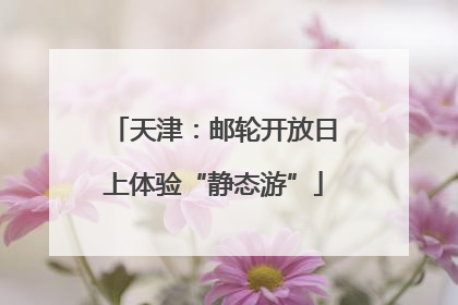 天津：邮轮开放日上体验“静态游”