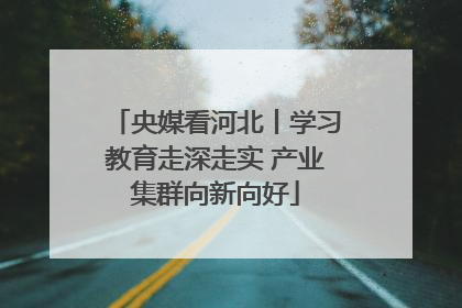 央媒看河北丨学习教育走深走实 产业集群向新向好