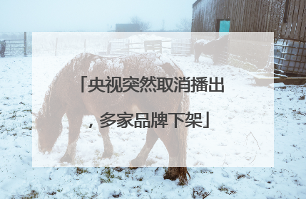 央视突然取消播出，多家品牌下架