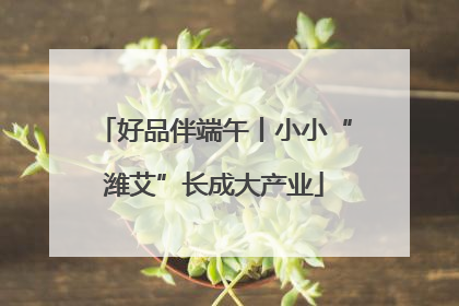 好品伴端午丨小小“潍艾”长成大产业