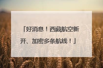 好消息！西藏航空新开、加密多条航线！