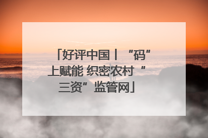 好评中国丨“码”上赋能 织密农村“三资”监管网