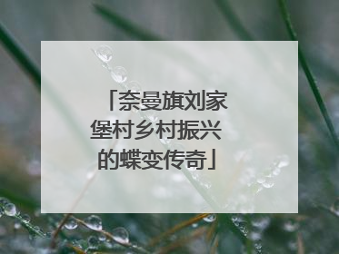 奈曼旗刘家堡村乡村振兴的蝶变传奇
