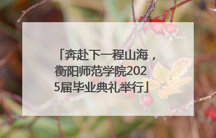 奔赴下一程山海，衡阳师范学院2025届毕业典礼举行