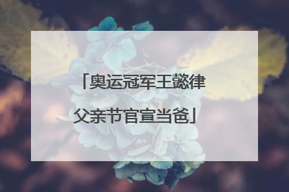 奥运冠军王懿律父亲节官宣当爸